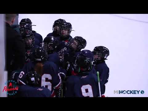2018 MAHA Squirt B State Championship (Gladwin vs. GRAHA Black)