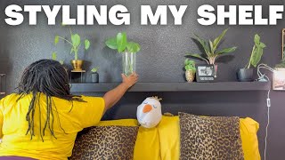 HOUSEPLANT STYLING with Dollar Tree Decor
