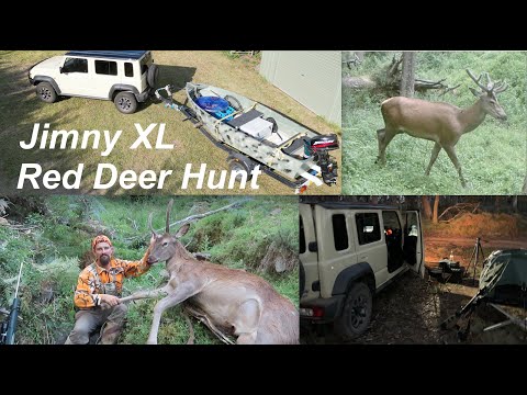 State Forest Summer Red Deer | Jimny XL - New Rig Rundown