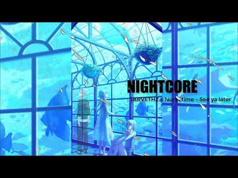 NightCore - See ya later TARVETHZ x Nur$etime