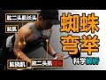 最不容错过的二头动作—蜘蛛弯举【圣雄就2min】【动作全面解析】【科学解析】