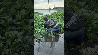 Download lagu Movement under the bushes #fishing mp3 Download lagu Movement under the bushes #fishing mp3