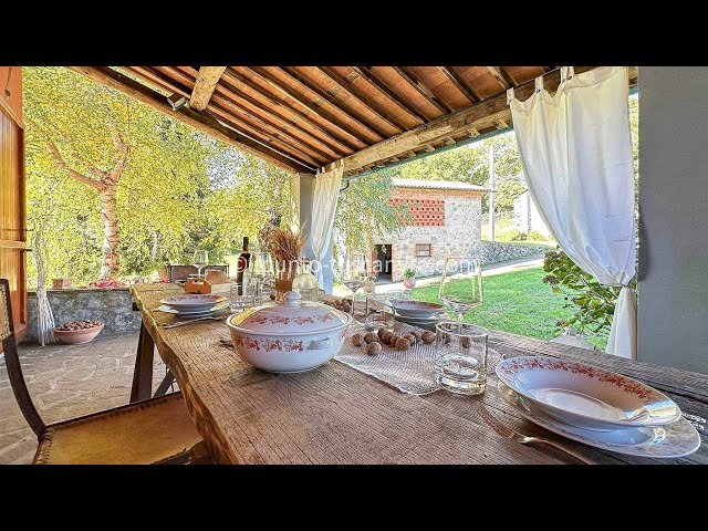 IL MELETO - Beautiful Tuscan farmhouse for sale, near Lucca, land with fruit trees, amazing view