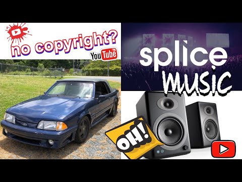 Splice Background Music - Chill-pop-dance-trippy-vibe-hip hop-acid jazz-ish