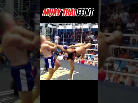 Muay Thai feint and side kick 🐉 #muaythai #mma #fighter #karate