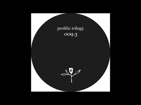 S.A.M. - Into Dusk [DELAPHINE009.3]