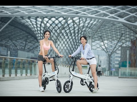 FIIDO D1 Folding electric bike