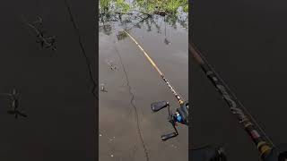 Download lagu suara soft frog jaws #mancing #castinggabusdiparitkecil #fishing mp3