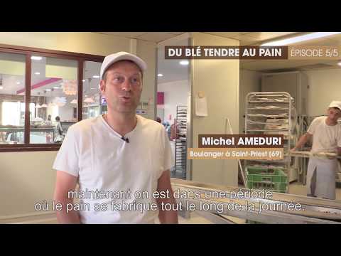 [Au Fil du Grain] Du blé tendre au pain : le boulanger artisanal | Les Céréales