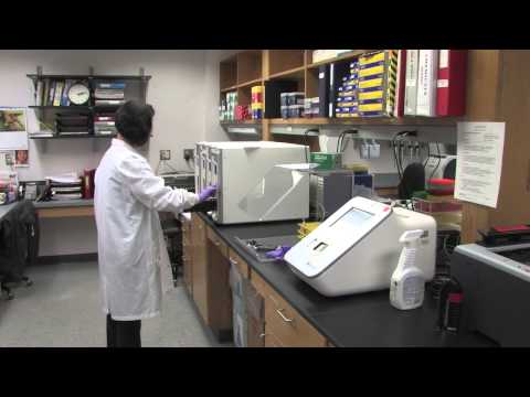 Genetic-Testing Initiative