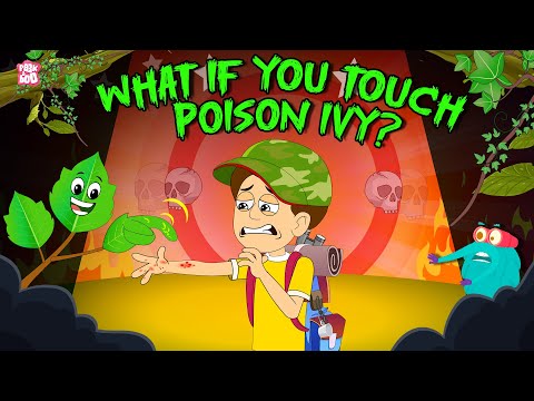 Don't Touch This Plant | What Happens If You Touch Poison Ivy? | Urushiol Allergy | Dr. Binocs