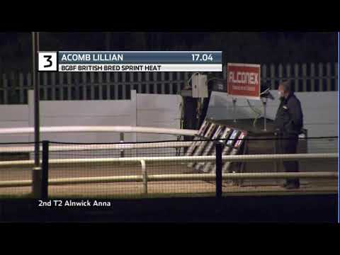 BGBF BRITISH BRED SPRINT - HEAT 1 - T3 ACOMB LILLIAN