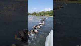 Download lagu Cruzando de Guatemala a el salvador 🇸🇻 por el río paz mp3