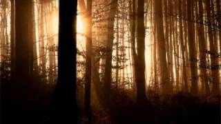 Remember Surrender by Sara Groves