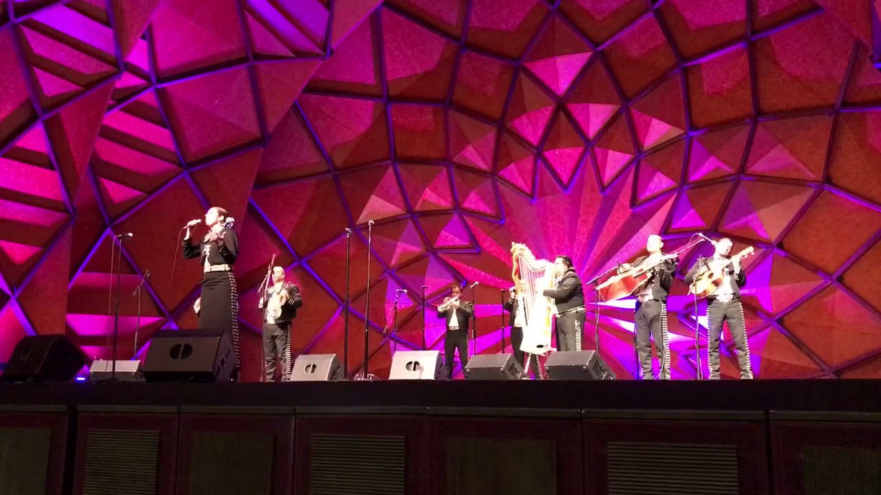 Promotional video thumbnail 13 for Mariachi Melodias De Mexico