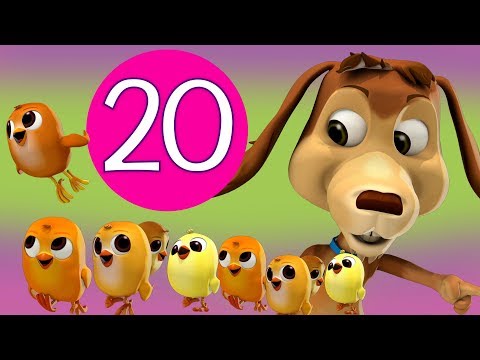 CHOCOLO CONTABA A LOS POLLITOS HASTA EL 20 - CANCIONES INFANTILES - MÚSICA PARA JUGAR