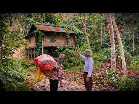 A kind man gave an abandoned house to a single mother, and her life gradually changed