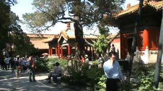 Video : China : Forbidden City scenes - video