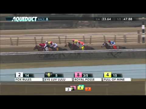 Good Luck Gus - 2016 Haynesfield Stakes