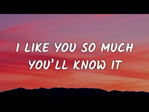 Aviwkila - I Like You so Much, You’ll Know It (Lyrics)