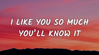 Aviwkila - I Like You so Much You’ll Know It (Ly