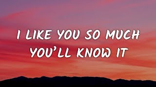 Download lagu Aviwkila - I Like You so Much, You’ll Know It (Lyrics) mp3