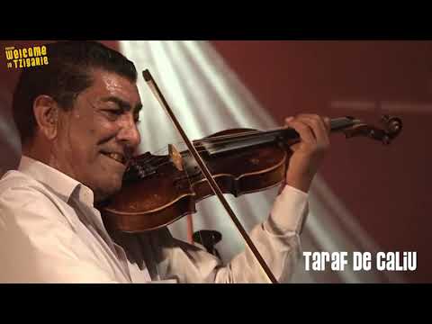 Welcome in Tziganie Live 2021 - TARAF DE CALIU
