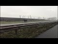 Door deze stier moest de A15 dicht (beeld: Erik van Elk)