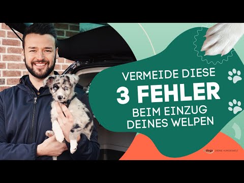 Your puppy is moving in - avoid these 3 MISTAKES!