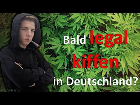 CANNABIS - eine GEFÄHRLICHE DROGE oder ein MEDIZINISCHES WUNDER?