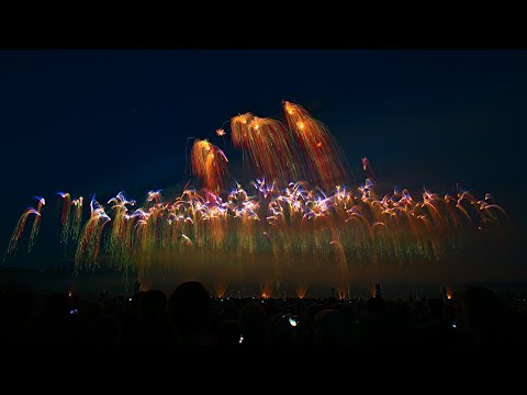 Fantasias - Frankreich - Int. Feuerwerkswettbewerb Hannover 2019