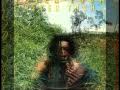Peter Tosh - Shame and Scandal