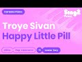 Happy Little Pill (Female key - Piano Karaoke demo ...