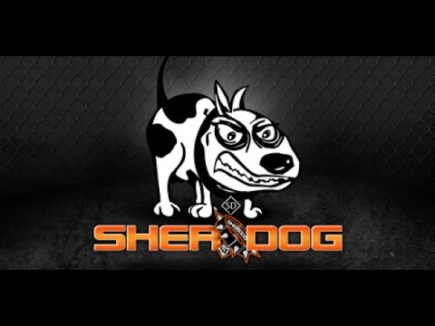 Beatdown After The Bell: UFC 210 Cormier Vs Johnson 2