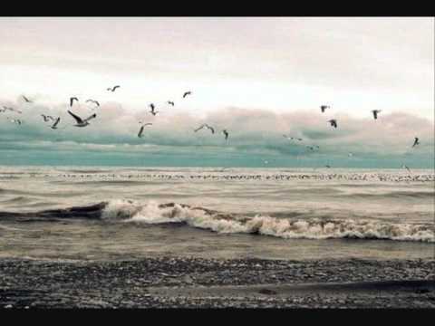 Crisopa - Tetris Triste