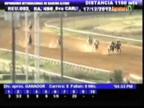 Resumen Lunes, 17 de Diciembre de 2012 - Rancho Alegre