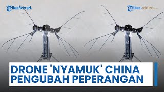 Drone Nyamuk China Diklaim Jadi 'Pengubah Peperangan', Ukuran Kecil Cocok untuk Operasi Rahasia