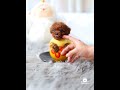 Prince Is One Happy Puppy Teacup Male Poodle