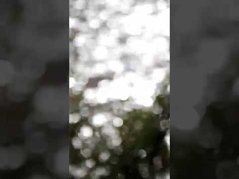 El Sol parece lluvia