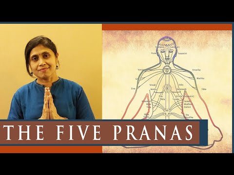 The Five Pranas that fuels functional systems of body ( Prana - Apana - Samana - Vyana - Udana )