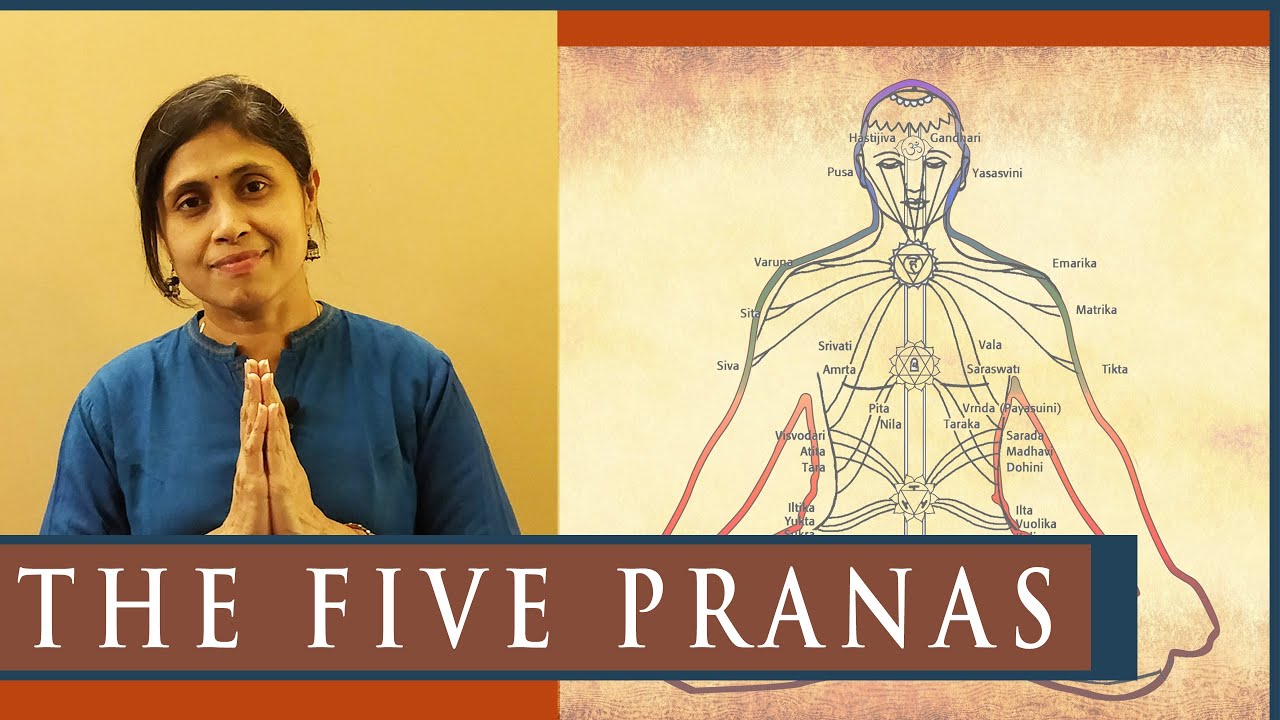 The Five Pranas that fuels functional systems of body ( Prana - Apana - Samana - Vyana - Udana )