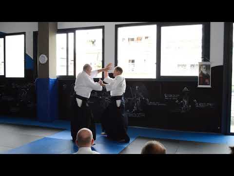 Sensei Paul Derrick, Athens 2018 - Shiho nage 5