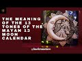 Energies Of The 13 Tones Mayan Oracle 13 Day Wave Spell Cosmic Intelligence