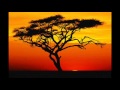 Christian McBride - Lullaby for a Ladybug