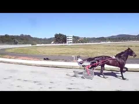 1. ranquel tp 2.02.67. 2.jubaro. 2.09.08. 3.dante. 4.yanke.