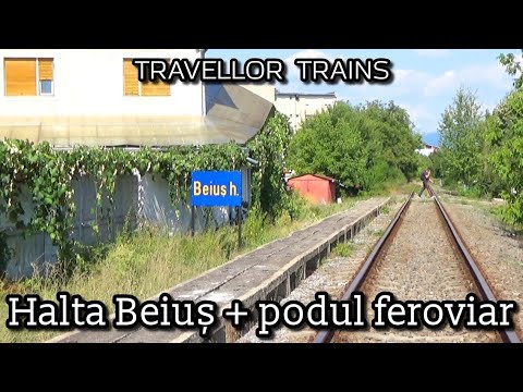 Halta Beiuș și podul feroviar peste Crișul Negru (Linia 315: Holod - Vașcău)