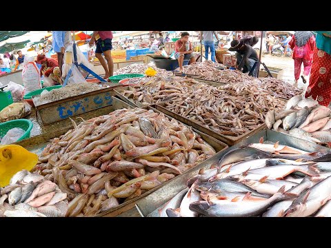 The Largest Wholesale Fish Market in Cambodia's capital, Phnom Penh