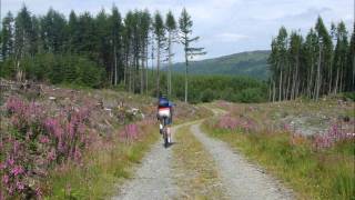 preview picture of video 'Four Mountain Bike Trails Around Lake Vyrnwy Wales from www.FarmhouseInWales.com'