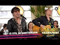 3JS - Het is stil in Amsterdam • Muziekfeest op Zondag // Sterren NL