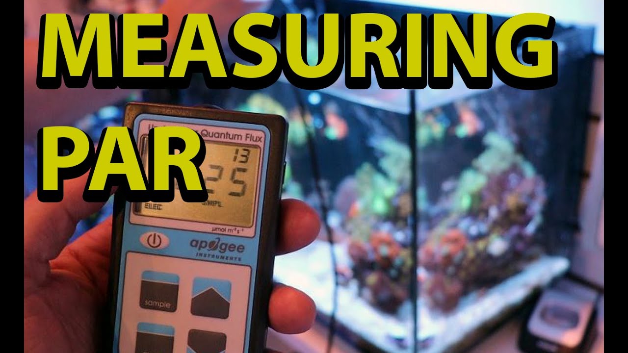 YouTube video preview